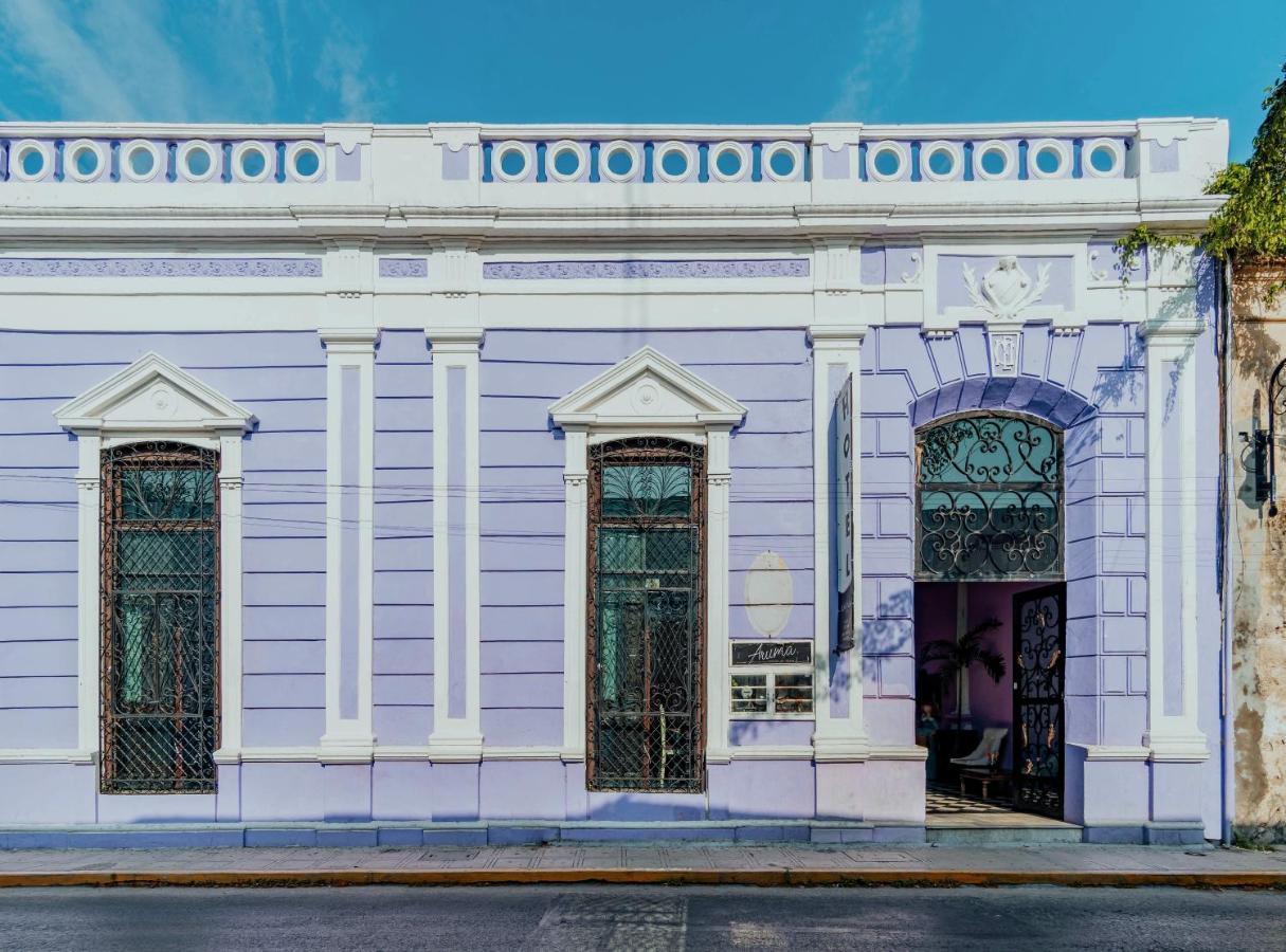 Hotel Lavanda CAS Mérida Buitenkant foto Casa Paoli